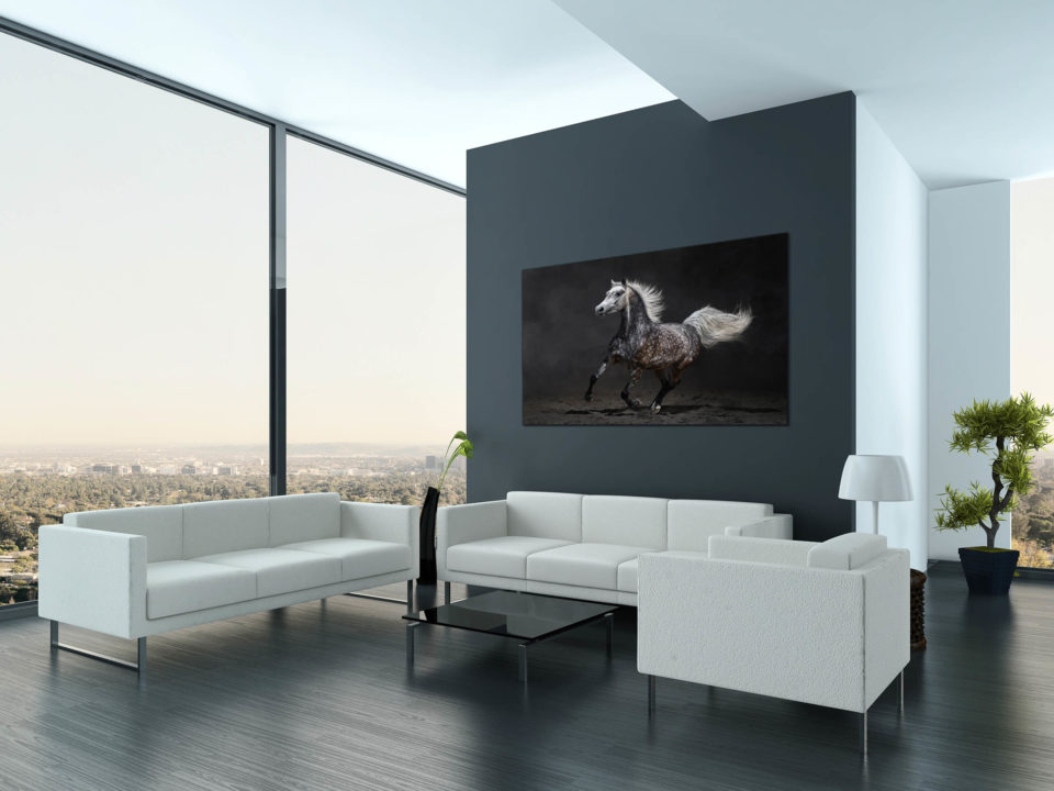 Art-Prints Pferdefotografie